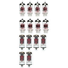 Standard Tube Set for Ampeg