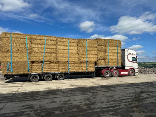 Wheat straw bales - straw, 6