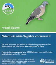 RSPB Pin Badge NIIC Wood