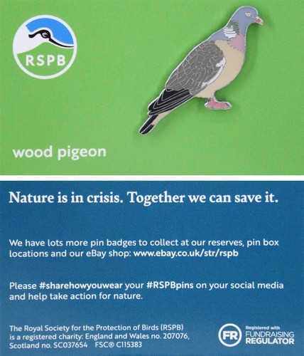 Rspb pin badge - rspb, niic