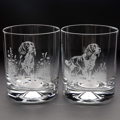 Springer spaniel dog whiskey - dog,