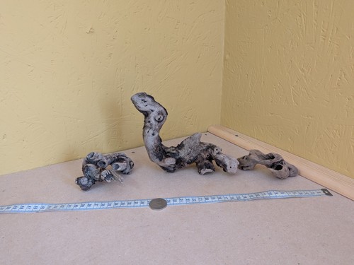 126 sculptured driftwood - #126.,