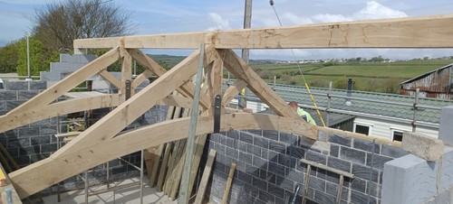 Raise curved green oak - raise, or