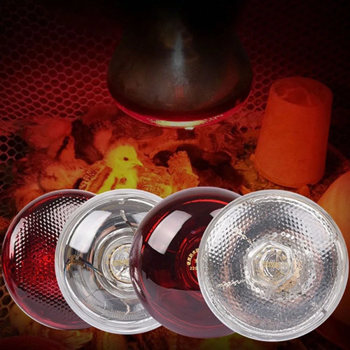Poultry e27 heating lamp - poultry,