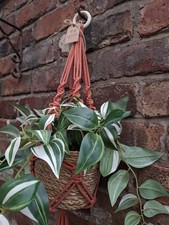 Orange Terracotta Macrame