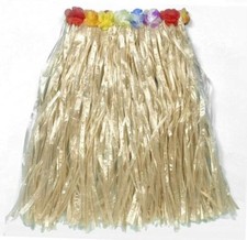 Hawaiian Hula Beach Hawaii