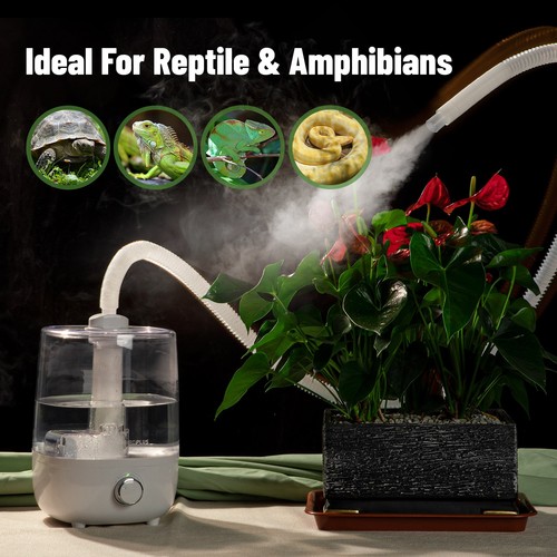 Inkbirdplus reptile humidifier - inkbirdplus,