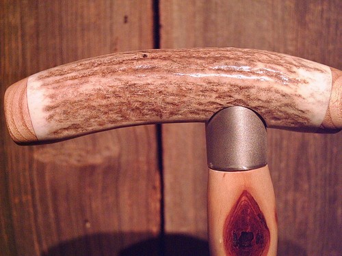 Walking cane deer - deer, antler