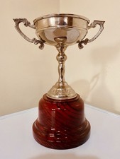 🏆 ⛳️ Vintage Golf