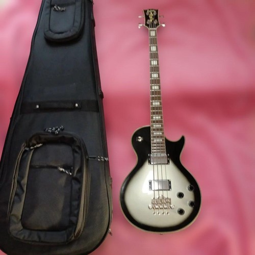 Burny lpb custom les - burny,