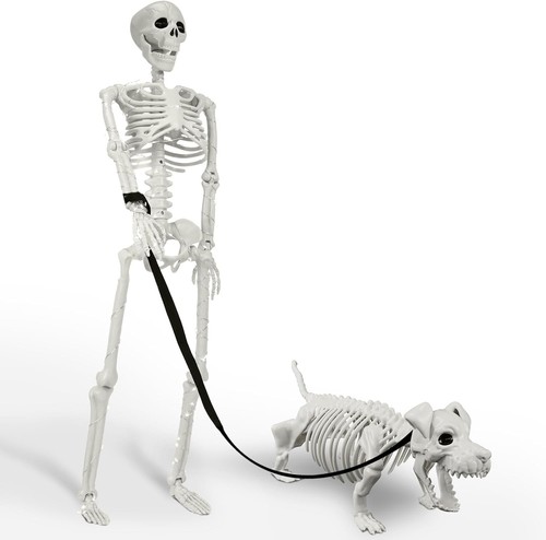 Lighted human dog skeleton - lighted,