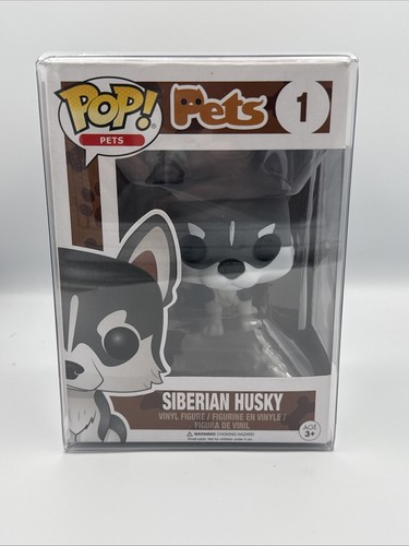 Siberian husky pets - siberian, pop