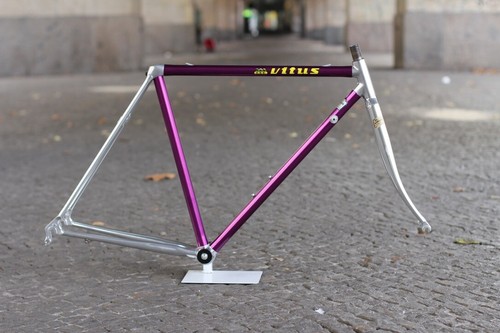 Vitus dural 979 - vitus, /