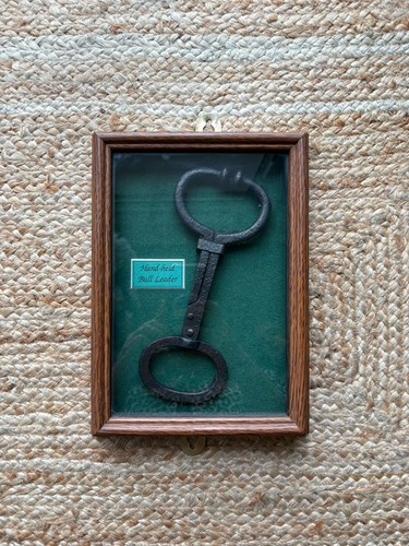 Vintage framed hand held bull - vintage, hand-held
