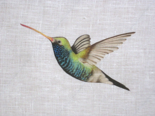 Harlequin curtain fabric - curtain,