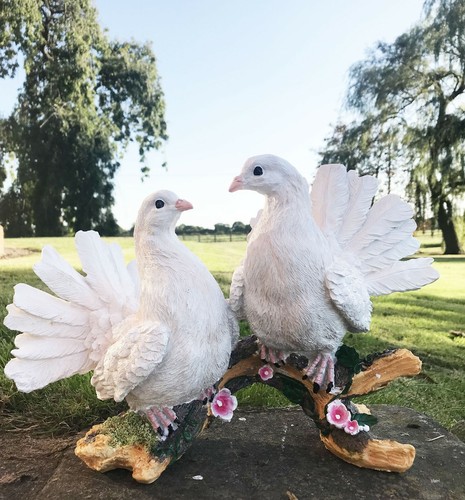 Two white doves - doves, ornament