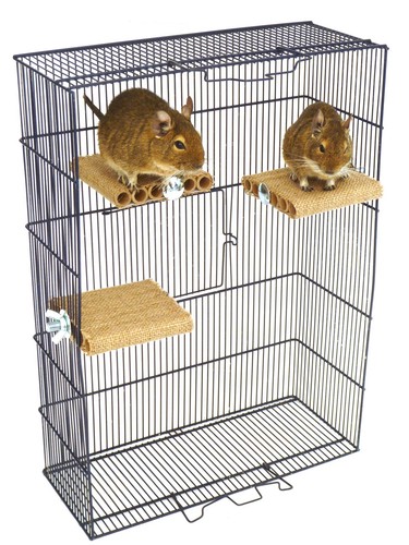 Totally degu shelf - totally, small