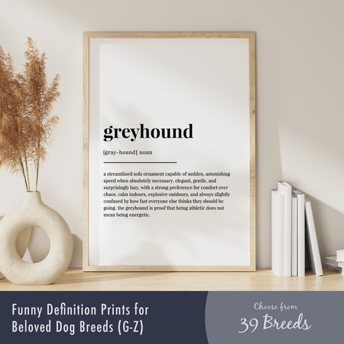 Funny dog breed - funny, definition