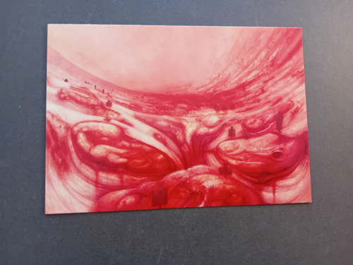 Giger art postcard - r,