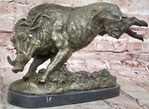 Wild boar hog pig - hog, pure
