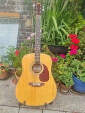 Great Light Action Hofner