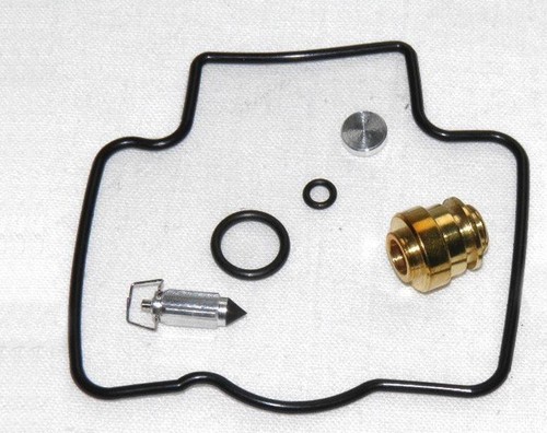 Carburetor repair kit fits