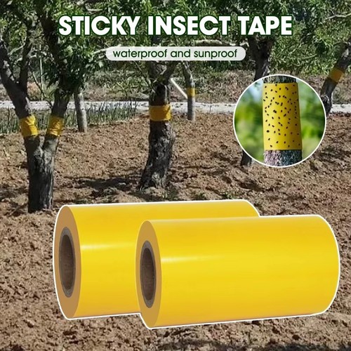 Yellow grease band tree insect - band,