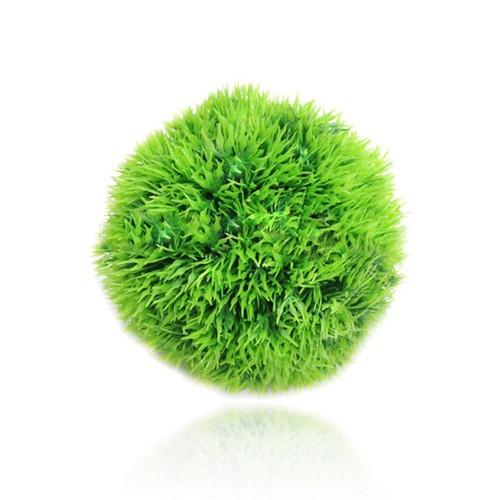 Small green marimo moss ball - green,