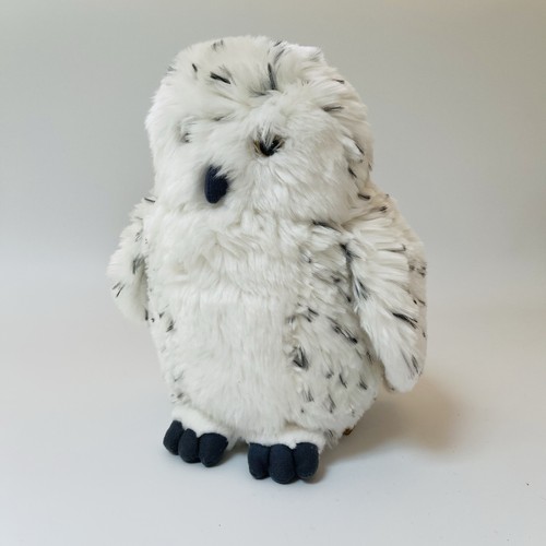 Living nature snowy owl - nature, bird