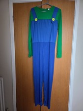 Super Mario Luigi Costume with