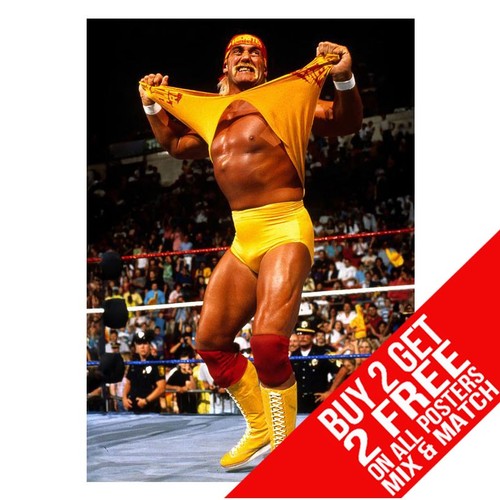 Hulk hogan wrestling poster - hulk,