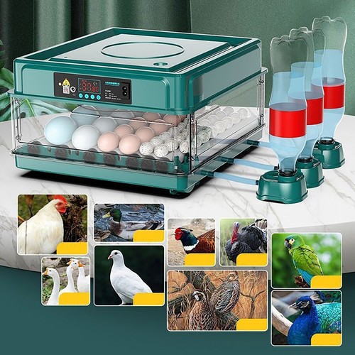 New eggs double electric - 9/12,