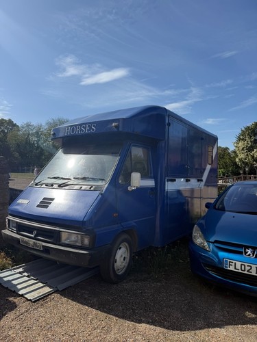 Horsebox renault master - horsebox,