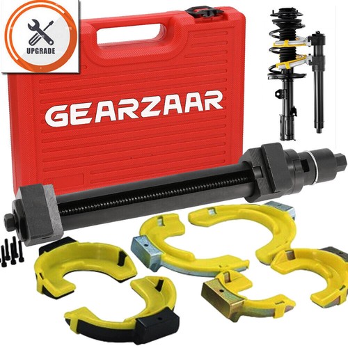 Universal strut spring - strut,