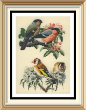 70+ yr Old 1947 Vintage