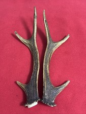 PAIR OF SIKA DEER ANTLERS 168g.   aprox. 25cm.