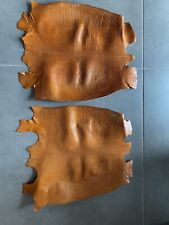 Premium quality iguana leather for DIY