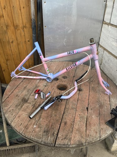 Raleigh pretty extreme bmx - pretty,