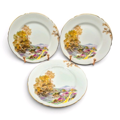 Vintage shelley fine bone - shelley,