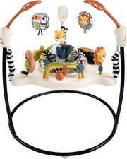 Fisher-Price Baby Bouncer Palm