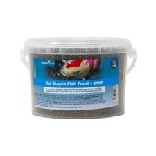 Koi sturgeon goldfish floating - sturgeon,