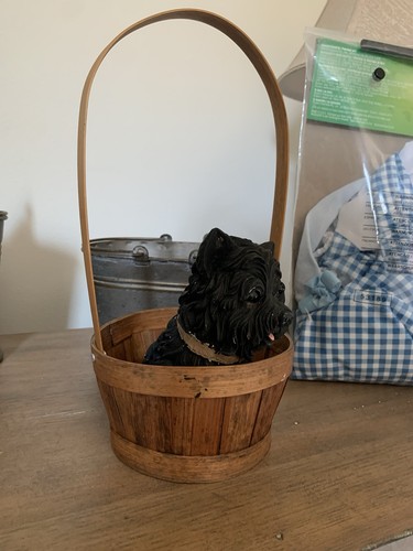 Toto basket perfect - toto,