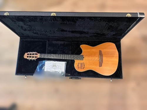 Godin multiac duet steel - godin,