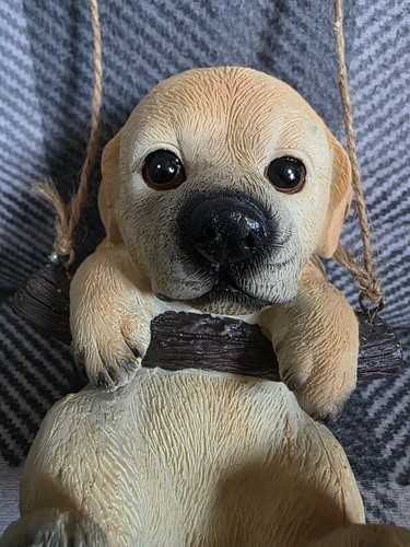 Cute labrador puppy - cute,