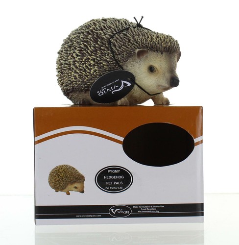 Vivid arts pet - pet, pal