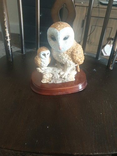 Barn owl with - barn, owlets