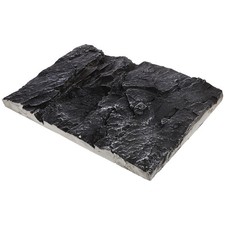 Reptile Background for