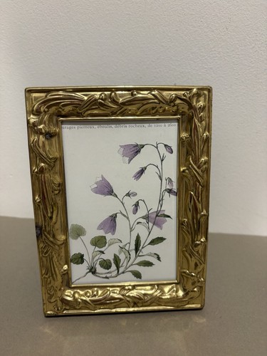 Framed botanical print - framed,