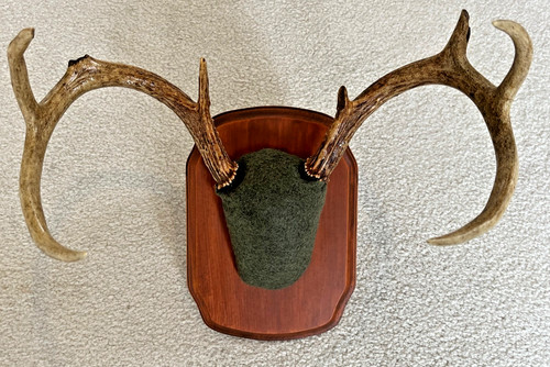 Vintage point whitetail deer - 6,