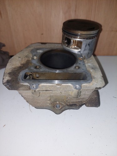 Kawasaki klf300 cylinder - kawasaki,